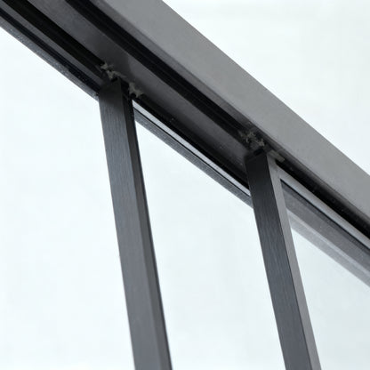Black Double Sliding Shower Door